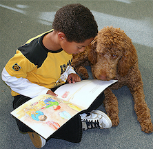 Child Reading with Dog